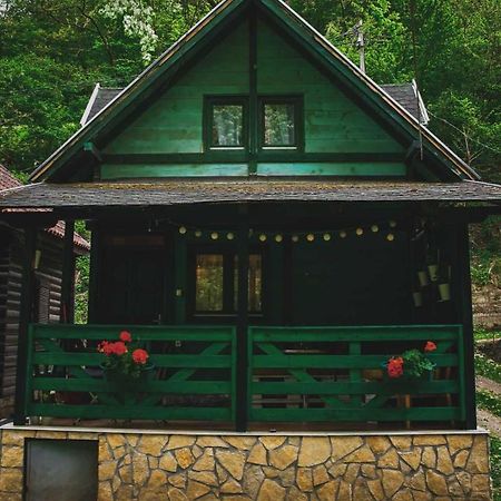 Willa Vikendica,, Tadic,, Ovcar Banja Zewnętrze zdjęcie